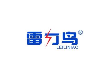 雷力鸟LEILINIAO