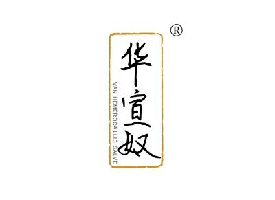 华宣奴VANHEMEROCALLISSALVE