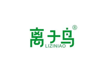离子鸟LIZINIAO