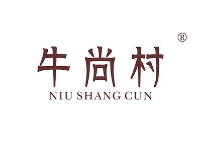 牛尚村NIUSHANGCUN