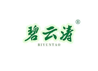 碧云涛BIYUNTAO