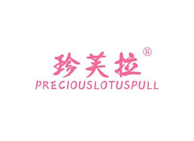 珍芙拉PRECIOUSLOTUSPULL
