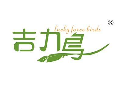 吉力鸟LUCKFORCEBIRDS