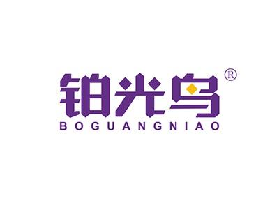 铂光鸟BOGUANGNIAO