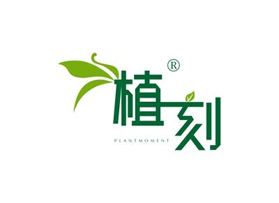 植刻PLANTMOMENT