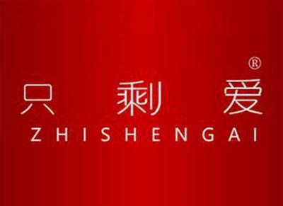 只剩爱