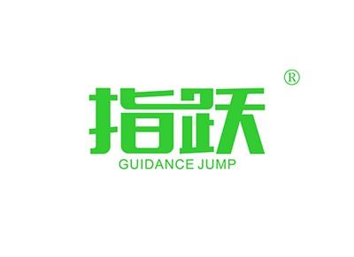 指跃GUIDANCEJUMP