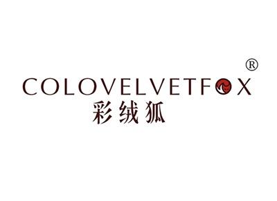 彩绒狐COLOVELVETFOX