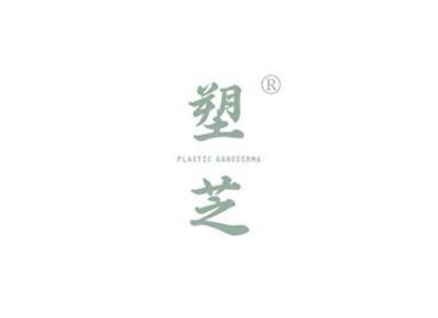 塑芝PLASTICGANODERMA