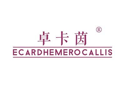 卓卡茵ECARDHEMEROCALLIS