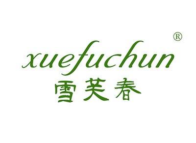 雪芙春XUEFUCHUN
