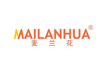 麦兰花MAILANHUA