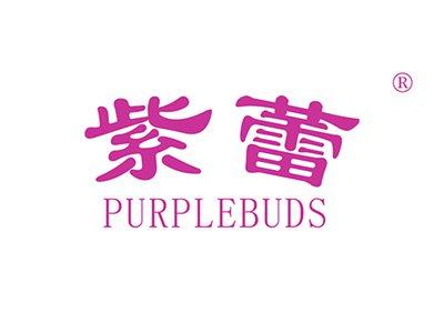 紫蕾PURPLEBUDS