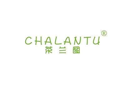 茶兰图CHALANTU