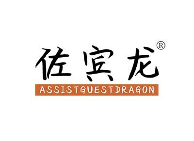 佐宾龙ASSISTGUESTDRAGON