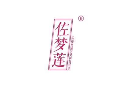 佐梦莲ASSISTDREAMCHARMING