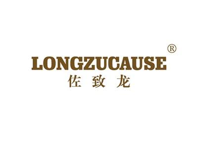 佐致龙LONGZUCAUSE