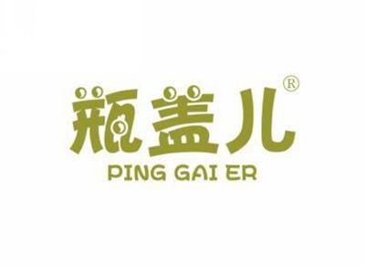 瓶盖儿PINGGAIER