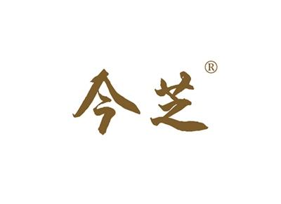 今芝