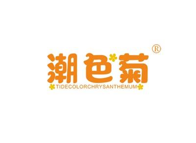 潮色菊TIDECOLORCHRYSANTHEMUM
