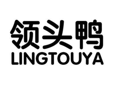 领头鸭