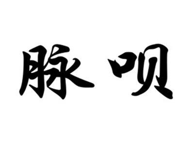 脉呗