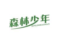 森林少年