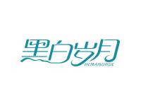 黑白岁月