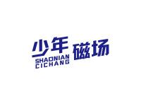 少年磁场