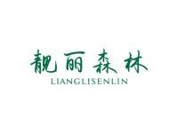 靓丽森林