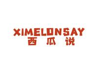 西瓜说XIMELONSAY