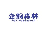 企鹅森林PEVIREOFOREST