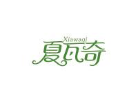 夏瓦奇