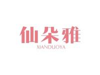 仙朵雅