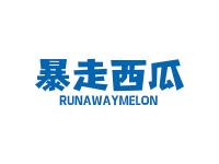 暴走西瓜RUNAWAYMELON