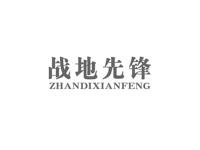 战地先锋