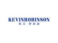 凯文罗宾逊KEVINROBINSON