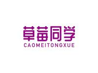 草莓同学
