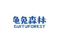 龟兔森林GUITUFOREST