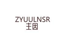 主因ZYUULNSR