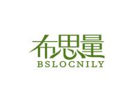 布思量BSLOCNILY