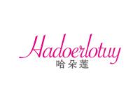 哈朵莲HADOERLOTUY