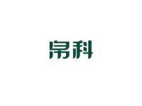 帛科