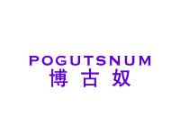博古奴POGUTSNUM