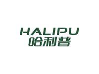 哈利普