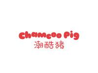 潮酷猪CHAMCOOPIG
