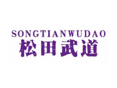 松田武道SONGTIANWUDAO