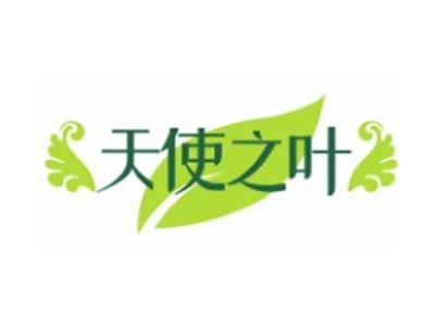 天使之叶