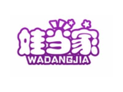 娃当家WADANGJIA9 21类同名