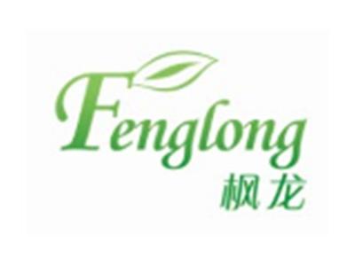 枫龙FENGLONG16 11类同名